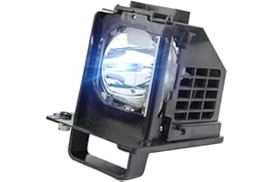 BORYLI 915B441001 915B441A01 TV Replacement Lamp with Housing