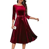 DRESSTELLS Velvet Cocktail Dress for Women, 2025 Winter Christmas Holiday Dress, 3/4 Long Sleeves Party Formal Gala