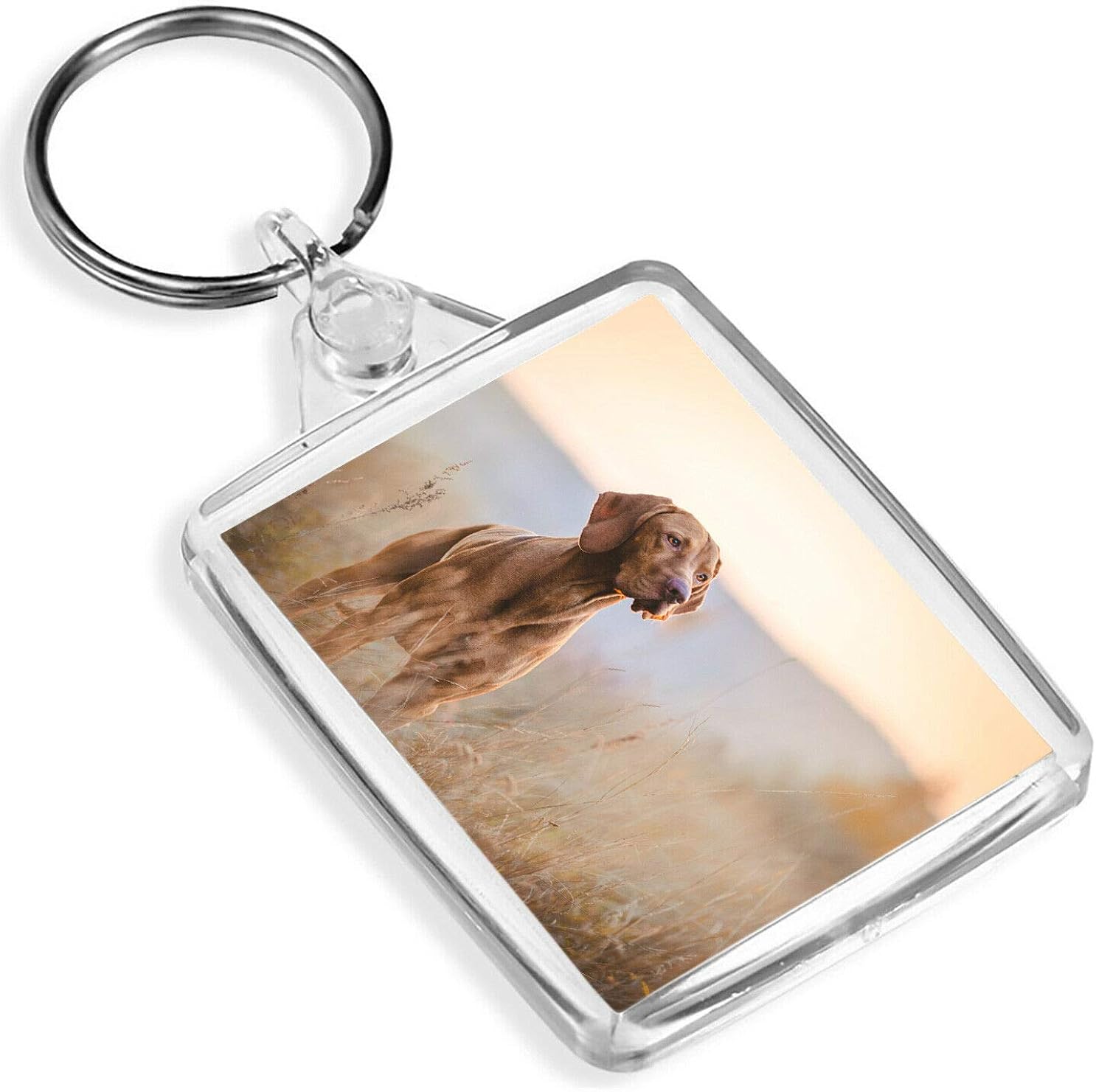 Amazon ハンガリーのポインタキーリングショートヘアード ハンガリアン ビズラ犬子犬ブリーダーキーリングギフト キーホルダー チェーン