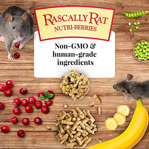 LAFEBER'S Rascally Rat NutriBerries Pet Rat Food, Made With NonGMO