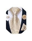 DiBanGu Mens Tie and Lapel Pin Set Silk Plaid Solid