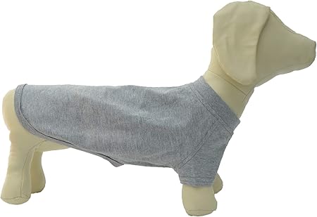 dachshund costumes amazon