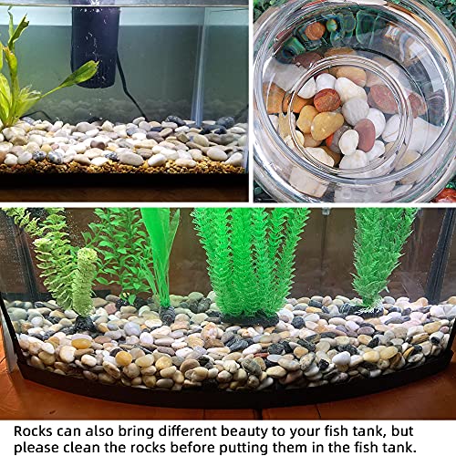 bulk aquarium plants