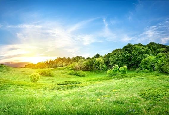 Csfoto 8x6フィート 背景 緑の草原 日の出 写真 背景 自然の風景 春 牧草 青 空 草 夏 田舎 田舎 田舎 田舎 ハイキング 屋外 ツアー 写真 スタジオ小道具 ビニール 壁紙 バックペーパー 背景布 通販 Amazon Csfoto 8x6フィート 背景 緑の草原 日の出 写真 背景 自然の風景 春 牧草 青 空 草 夏 田舎 田舎 田舎 田舎 ハイキング 屋外 ツアー 写真 スタジオ小道具 ビニール 壁紙 バックペーパー 背景布 通販 Amazon