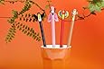 Kikkerland Tropical Animal Novelty Pencil Set, 4 pieces