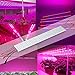 Grow Light Strip 50W 1.64ft, LED Grow Light Bar and Plant Light for Indoor Plants Gardening Hydroponics Greenhouse(5 pack)