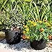 5 Gallon 8-Pack Plant Pot Black Grow Bags Fabric Pots for Potato Tomato Vegetables Planting W/Handles Hydroponicsthumb 3