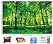 GREAT ART Poster – Summer Trees – Picture Decoration Nature Landscape Forest Glade Sunbeams Plants Flora Ferns Relaxation Sapling Spa Image Photo Decor Wall Mural (55x39.4in - 140x100cm)