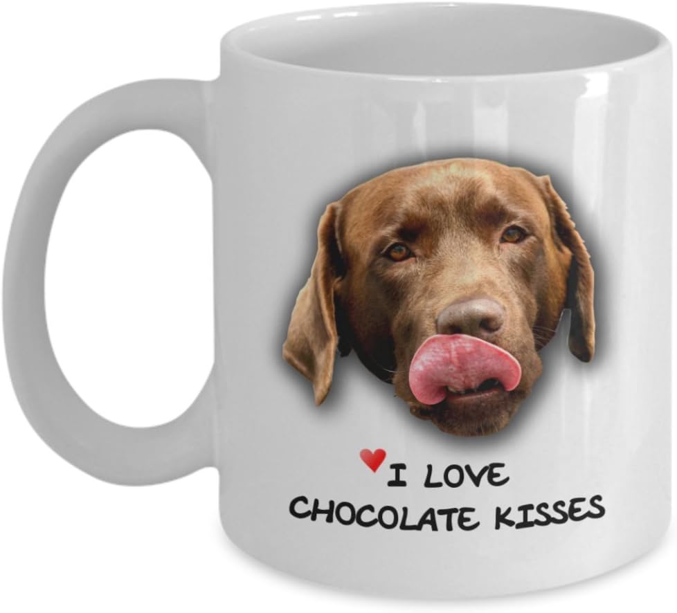 labrador retriever teacup