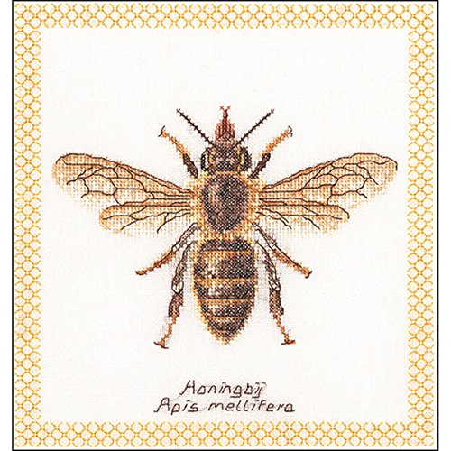 Honey Bee On Antique White Counted Cross Stitch Kit, Embroidery
