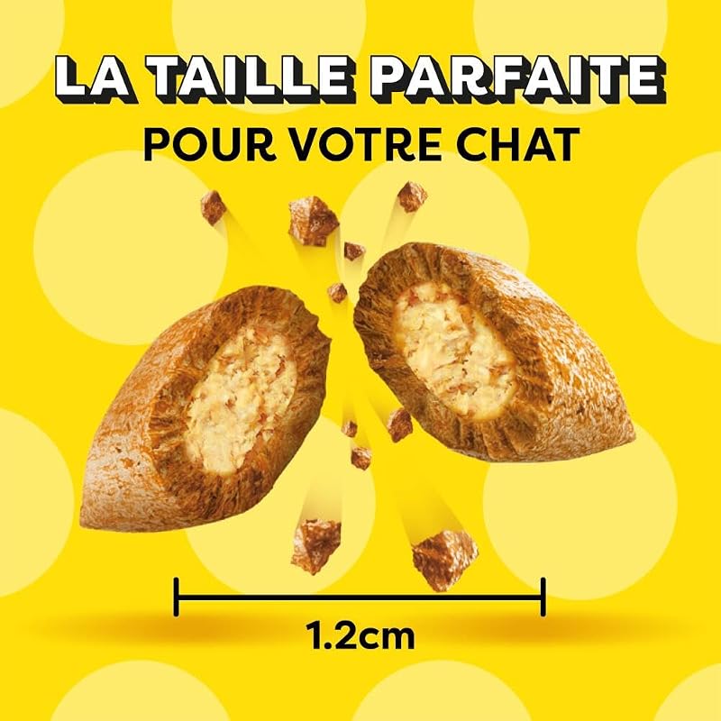Friandises pour chat au Goût Fromage - Lot de 6 Sachets de 60g - Récompenses Pour Chats Adultes et Chatons