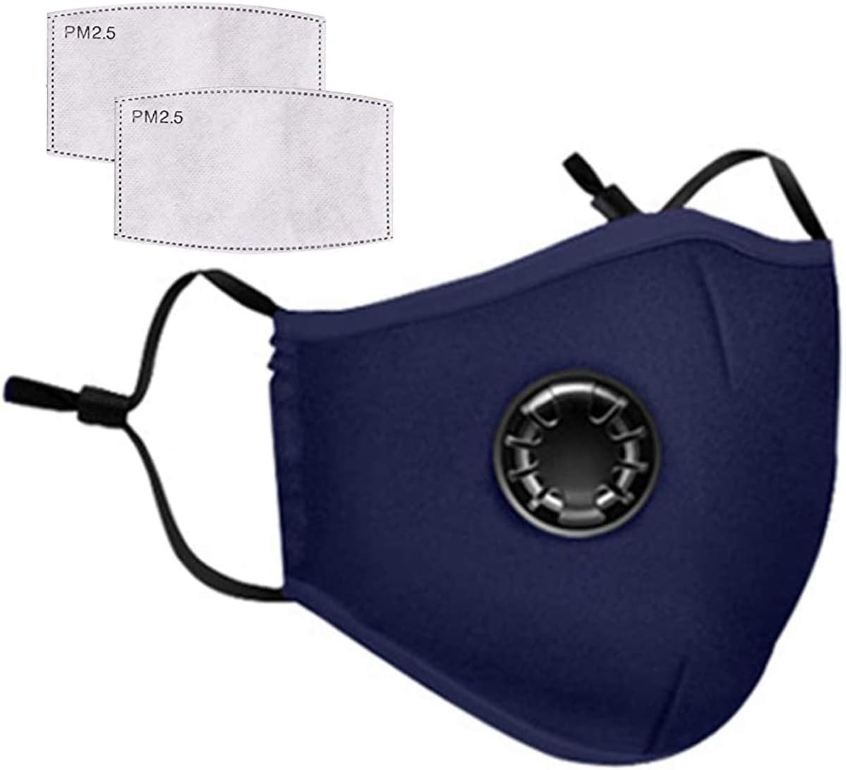 standardrich Face Cover with 2pcs Activated Carbon Filter Replaceable Haze Dust Face Health for Adults - Blue