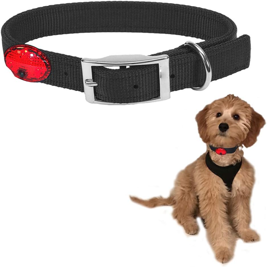 dog leash safety clip