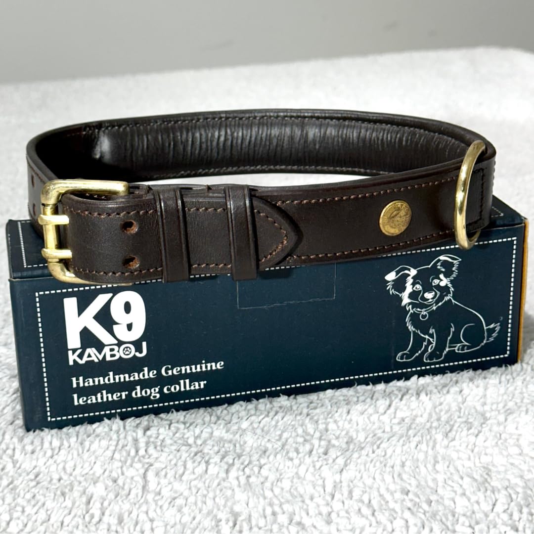 Kamboj9 k9 Heavy Duty Handmade Genuine Leather dog collar 100% brass hardware, for small, medium, large and xl dogs. includes Leather apple AirTag dog collar pocket. (Large)