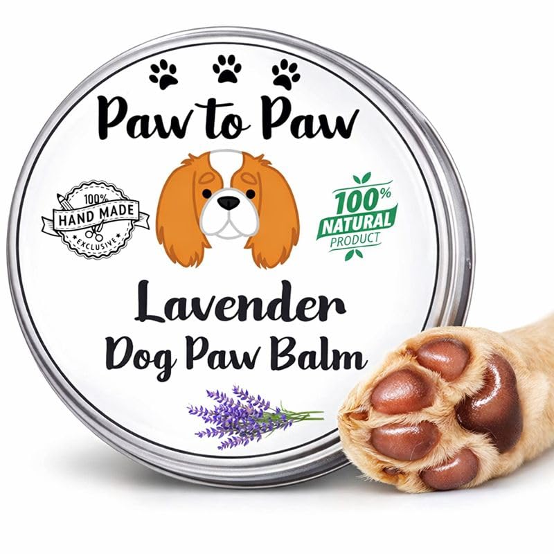 Paw to Paw Dog Paw & Nose Balm with Lavender - Alcohol Free, Natural Lick-Safe Paw Protector for Cracked Pads & Dry Nose, Softening Lavender Infused Moisturiser for Daily Grooming, 30ml (Medium)