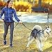 tobeDRI Heavy Duty Dog Leash - Comfortable Padded Handle, 6 ft Long - Dog Training Walking Leashes for Medium Large Dogs with A Free Collapsible Pet Bowl