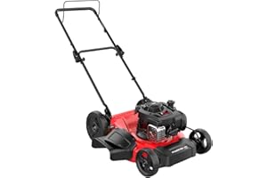PowerSmart Lawn Mower Gas Powered, 21 in. 125cc Briggs and Stratton Engine, 2-in-1 Push Mower with Mulching and Side-Discharge