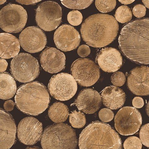 Walls Republic R3707 Contemporary Faux Wood Nature Tree Stump Firewood Wallpaper, Brown