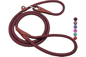 MayPaw Dog Leash Rope Slip Lead,1/4"-5Ft Durable Nylon Puppy Leash- Colorful Adjustable Training Pet Leash for Small and X-Small Dogs