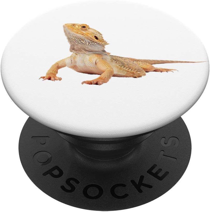 reptile antibiotics for sale