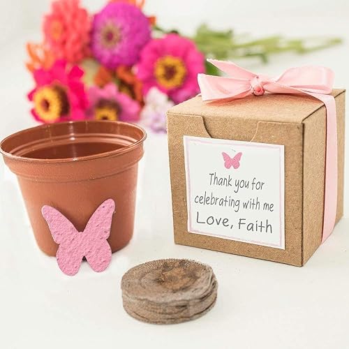 Amazon Com Grow A Butterfly Mini Garden Gift Set Personalized