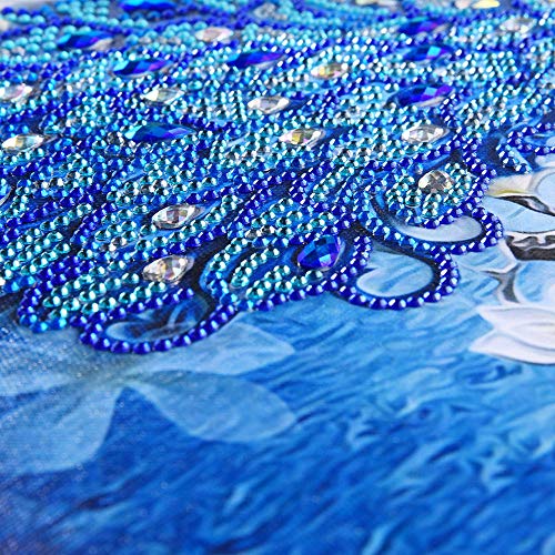 Amaping DIY 5D Diamond Painting by Number Kits Special Shaped Crystal Rhinestone Beads Pasted Embroidery Cross Stitch Kits Peacock Embellishment Arts Craft for Home Wall Hanging Decor (Blue Purple) - Thumbnail 2