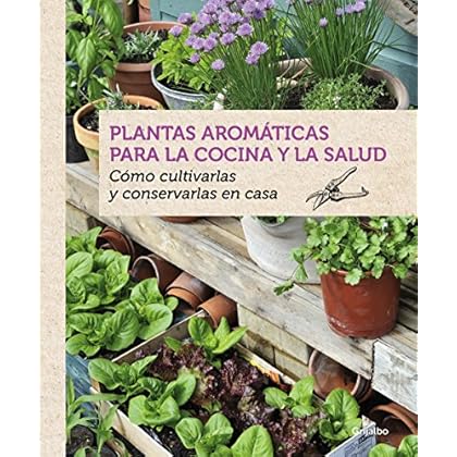 Plantas aromáticas para la cocina y la salud: Cómo cultivarlas y conservarlas en casa Plantas aromáticas para la cocina y la salud: Cómo cultivarlas y conservarlas en casa