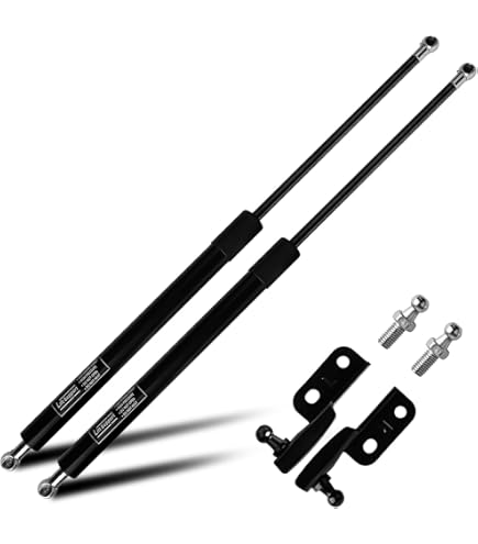Aazon.co: Rear Tailgate Hatch Lift Supports Shock Struts Copatible