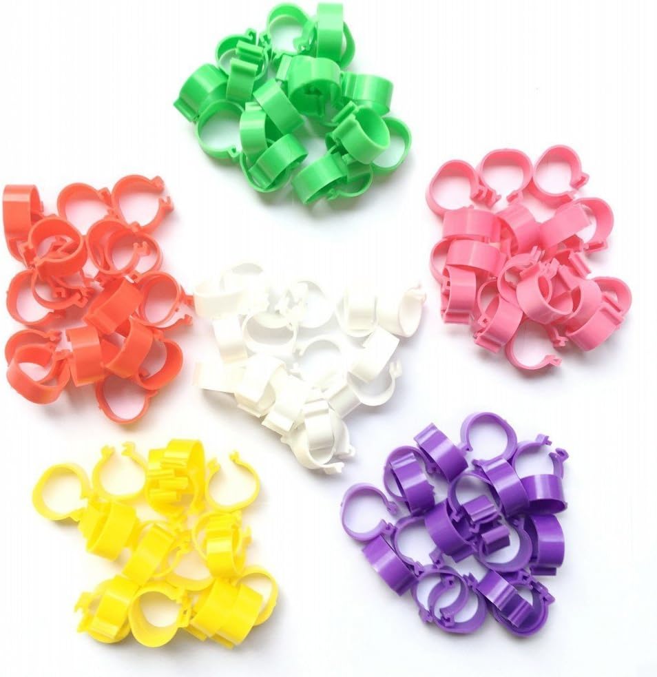 120Pcs Poultry Leg Band Leg Ring for Chicken Hen Duck and Other Standard Breeds 6 Color (20mm / 0.8in)