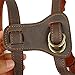 Beirui Leather Dog Harness - No Escape Training Harness Chest 15.5-18” for Small Dogs