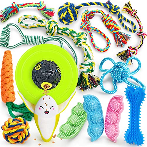 The Best Puppy Toys Dogtime