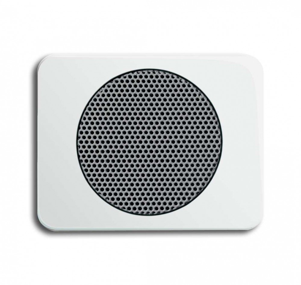 Busch-Jaeger 8253 24 Fascia