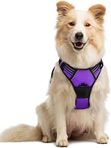 rabbitgoo Dog Harness Medium No Pull Adjustable Reflective Purple