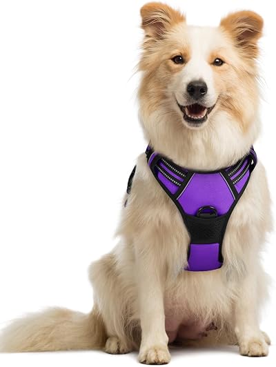 rabbitgoo Dog Harness Medium No Pull Adjustable Reflective Purple