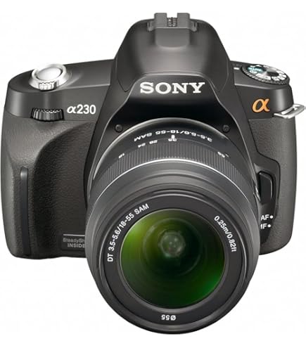 SONY α300 The Walkman Blog: Sony ZX300 Walkman Released at IFA 2017