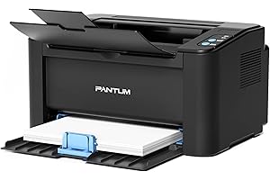 Pantum P2502W Wireless Laser Printer Home Office Use, Black and White Printer with Mobile Printing (V8V77B)