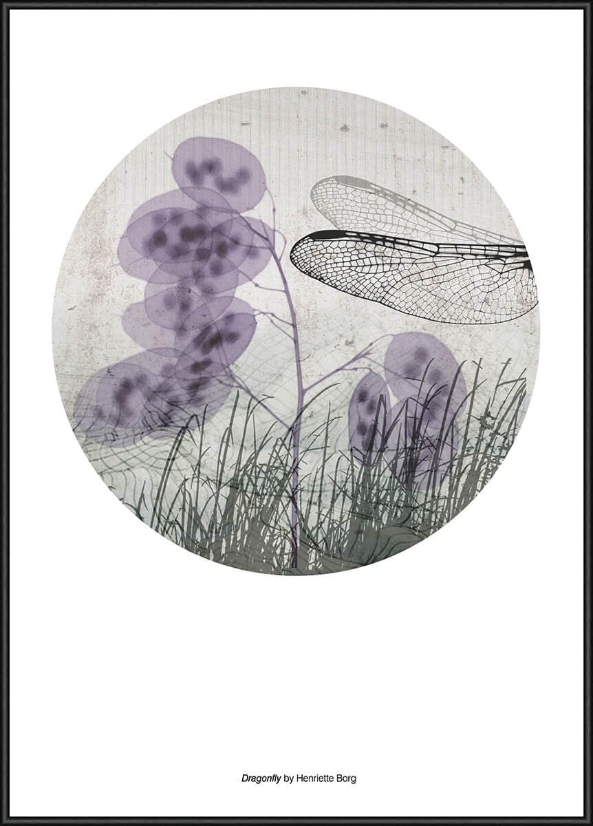 Incado Borg - Dragonfly Poster Print, Framed wall art , Multi-Colour