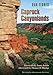 Caprock Canyonlands: Journeys into the Heart of the Southern Plains, Twentieth Anniversary Edition (Environmental History Series) - Book by Dan Flores