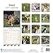 Basenji Calendar 2017 - Dog Breed Calendars - 2016 - 2017 wall calendars - 16 Month by Avonside