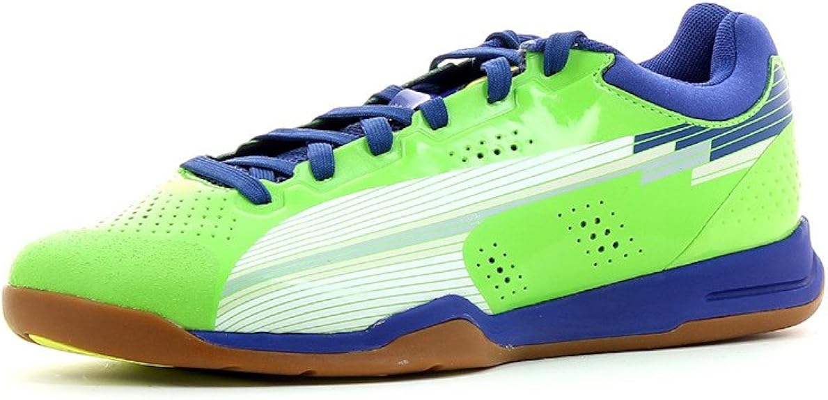 puma evospeed indoor