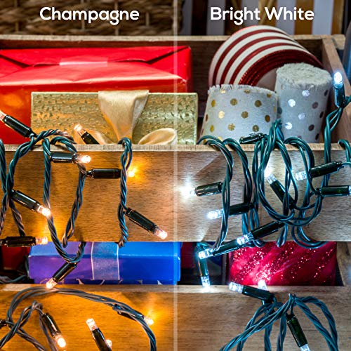 Amazon Basics 100 LED Commercial Grade Outdoor Christmas String Lights