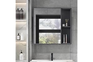 Bathroom Mirror Wall Medicine Cabinets Cabinet with Mirror, Wall-Mounted, 2 Built-in Shelves, 60x60CM, Storage Space, Light L