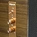 Klipsch The One, Walnut veneer