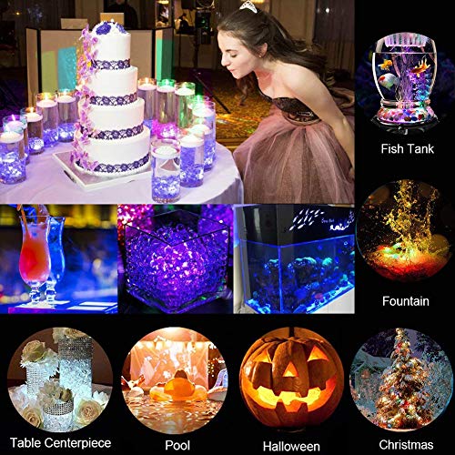 6 SEED+Submersible+Exclusive+Waterproof+Centerpieces
