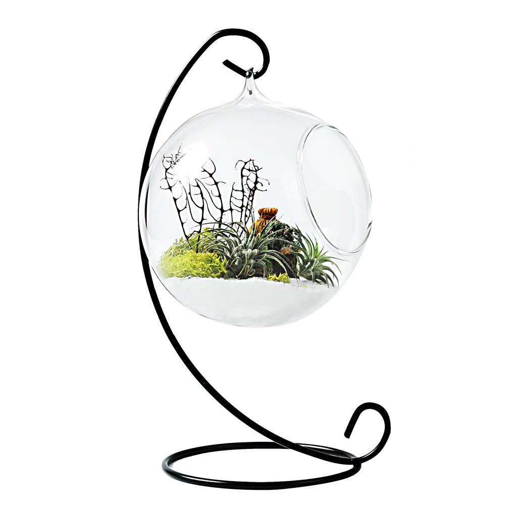 Terrarium Centerpieces? 5