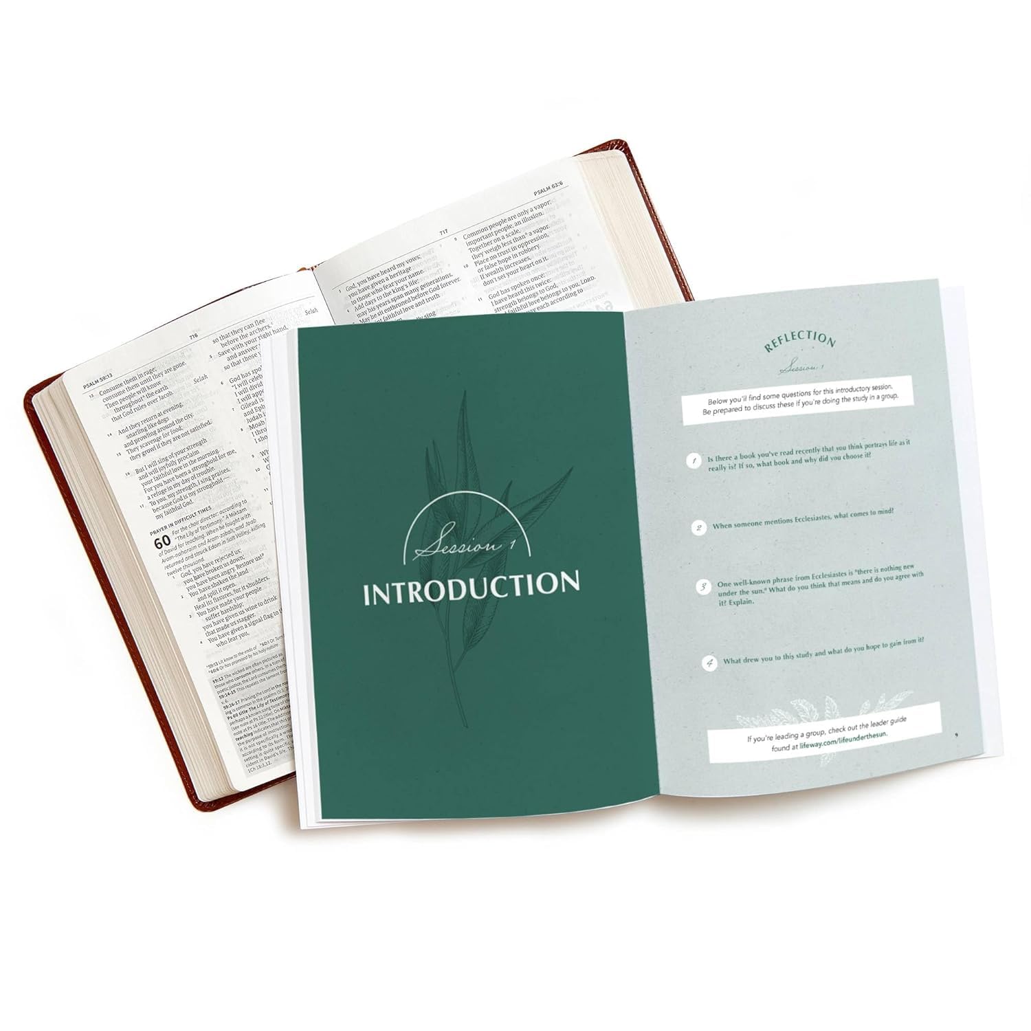 Life Under the Sun - Bible Study Book: The Unexpectedly Good News of Ecclesiastes