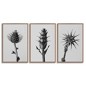 signwin 3 Piece Framed Canvas Wall Art Illustration...