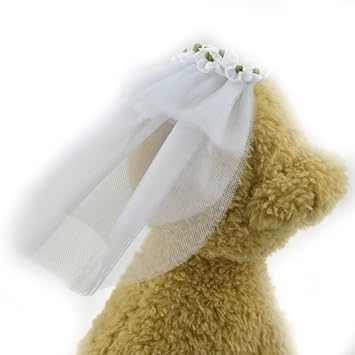 Amazon Com Veil For Dogs Small Dog Pet Cat Wedding Veil Dress