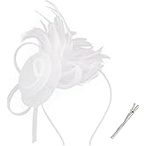 AMCAMI Fascinators Hats with Feather for Women 2026 Derby Hats Small Tea Party Hat with Headband