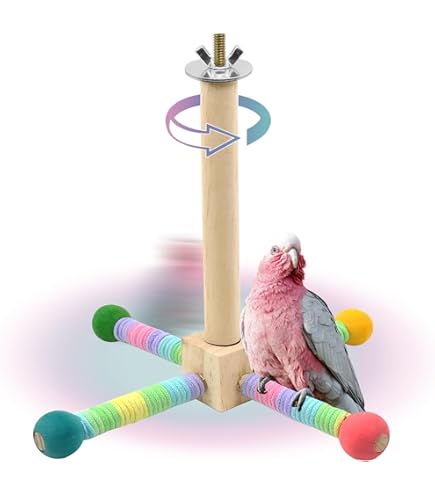 Interactive Bird Toys Bird Playground Bird Perch Toy, Interactive Rocking Parakeet Toys And Perches, Wooden Exercise Wheel Cockatiel Toys, Intelligence Puzzle Birds Enrichment Bird Cage Toys Budgie Toys